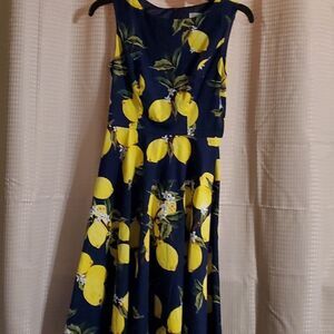 HANPCEIRS  Style Dress with lemons Design Fabric XS